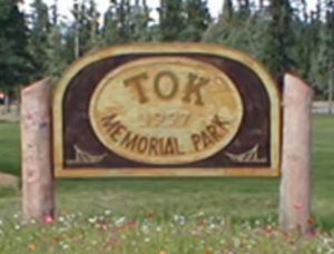 Tok Lions Club